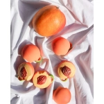 Mordedor Palm Peach de Oli and Carol