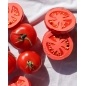 Mordedor Renato the Tomato de Oli and Carol Mordedor Renato the Tomato de Oli and Carol