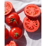 Mordedor Renato the Tomato de Oli and Carol