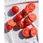 Mordedor Renato the Tomato de Oli and Carol