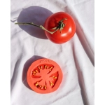 Mordedor Renato the Tomato de Oli and Carol