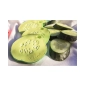 Mordedor Pepino the Cucumber de Oli and Carol