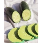 Mordedor Pepino the Cucumber de Oli and Carol