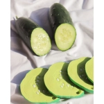 Mordedor Pepino the Cucumber  de Oli and Carol