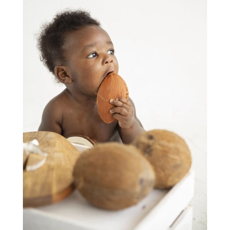 Mordedor Coco the Coconut de Oli and Carol