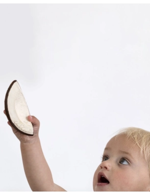Mordedor Coco the Coconut de Oli and Carol