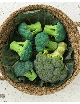 Mordedor Brucy the Broccoli de Oli and Carol