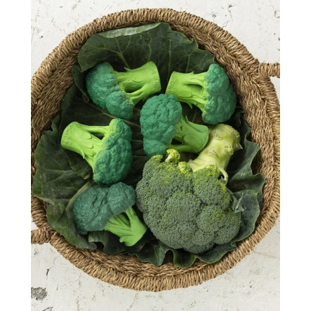 Mordedor Brucy the Broccoli de Oli and Carol