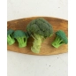 Mordedor Brucy the Broccoli de Oli and Carol