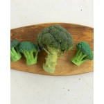 Mordedor Brucy the Broccoli de Oli and Carol