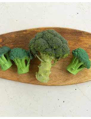 Mordedor Brucy the Broccoli de Oli and Carol