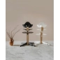 Trona Evolutiva Stokke Nomi Trona Evolutiva Stokke Nomi