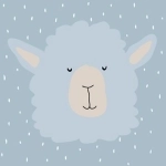 Mr. Alpaca