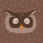 Mr. Owl