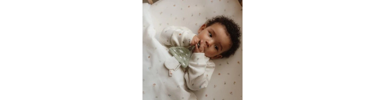 Colección Forest Friends de Little Dutch