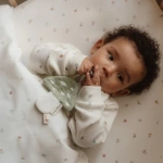 Colección Forest Friends