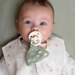 Colección Blueberry Leaves