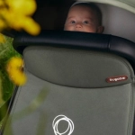 Bugaboo Fox Cub