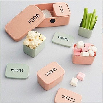 Fiambreras y Neveras