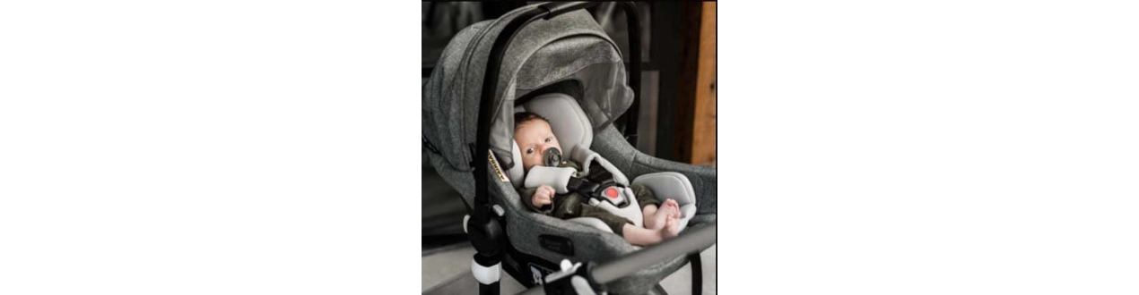 Sillas de Coche Bugaboo | Compra Online en Ali Bebé
