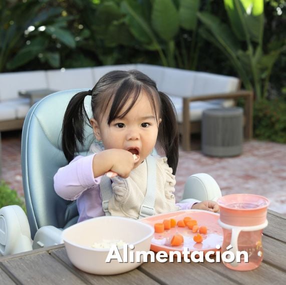 Alimentación de Chicco 